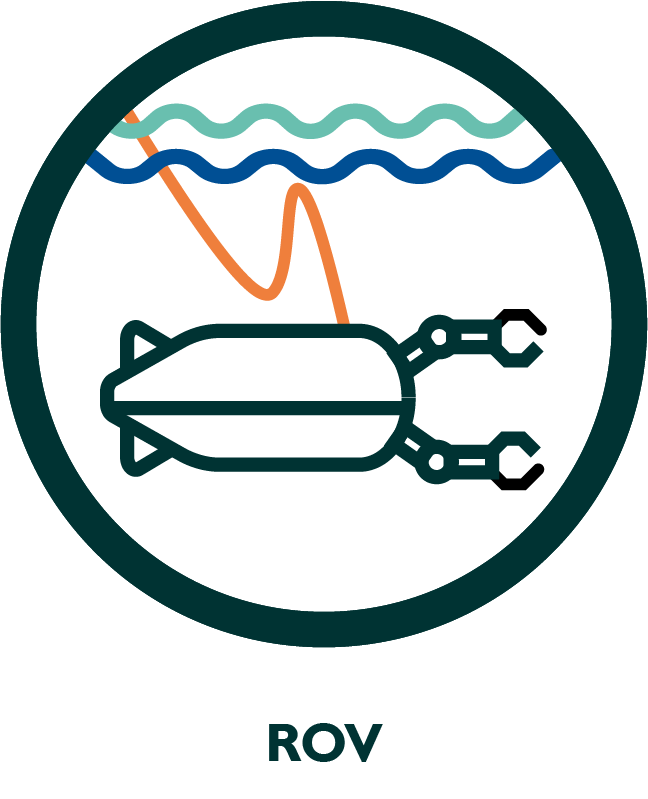 ROV