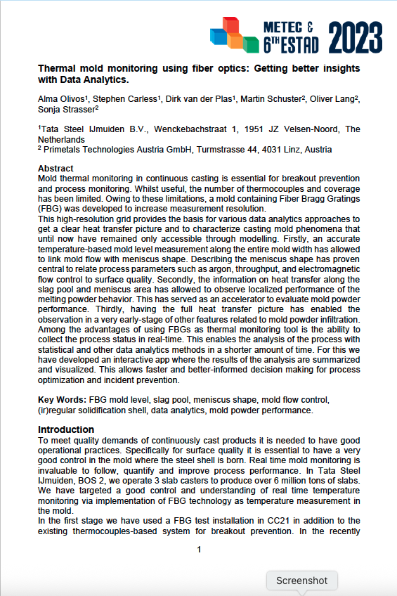 Steel casting process WHITEPAPER